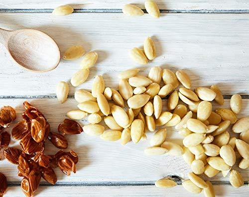 Food to Live Food to Live Blanched Whole Almonds, 25 Pounds Raw, Skinless, Unsalted, Keto, Vegan, Kosher, Bulk. High in Protein, Fiber, Vitamin E, Riboflavin. Perfect Snack. Great for Homemade Desserts.