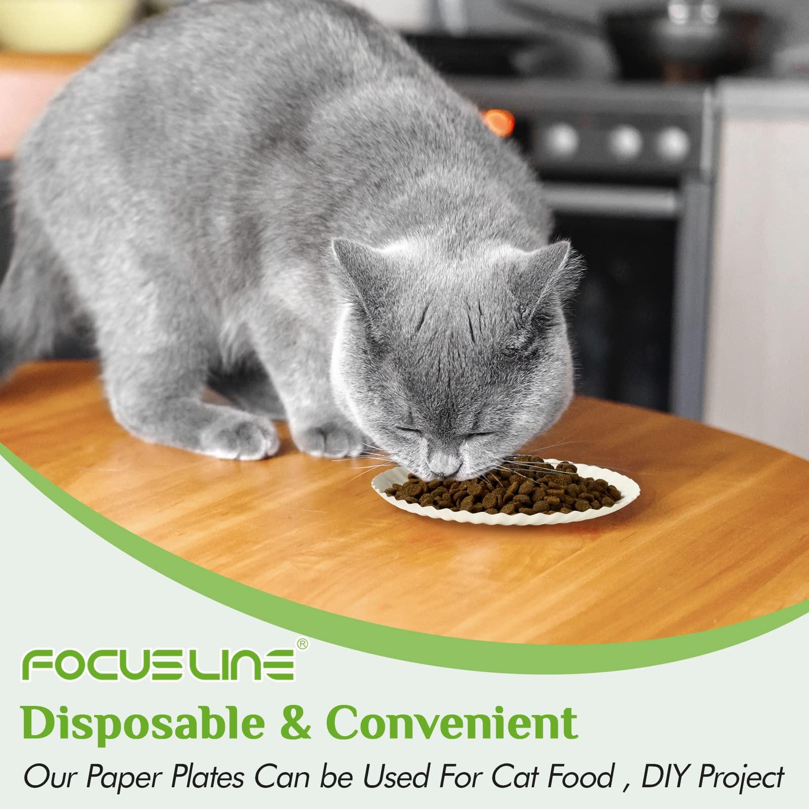 FOCUSLINE FOCUSLINE 6 Inch White Paper Plates 500 Count, Uncoated Paper Plates, Everyday Disposable Dessert Plates 6" Paper Plate Bulk, Pack of 500 Count