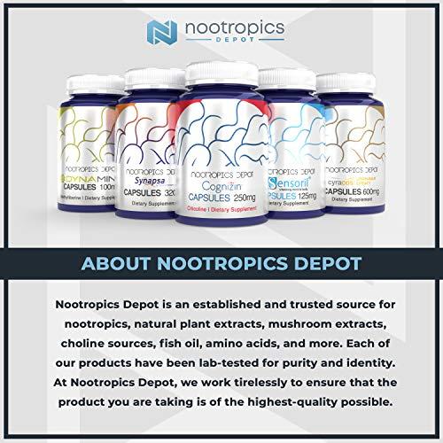Nootropics Depot Nootropics Depot EpiCor Capsules | 500mg | 60 Count