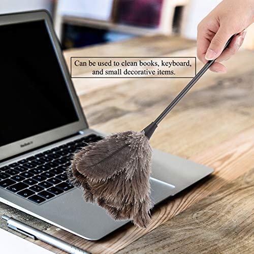 QiaNgshuAikj 34cm Premium Quality Genuine Ostrich Feather Duster – Attracts Dust Particles - Thick Soft Feathers - Durable Ergonomic Wooden Handle – Easy Efficient Dusting