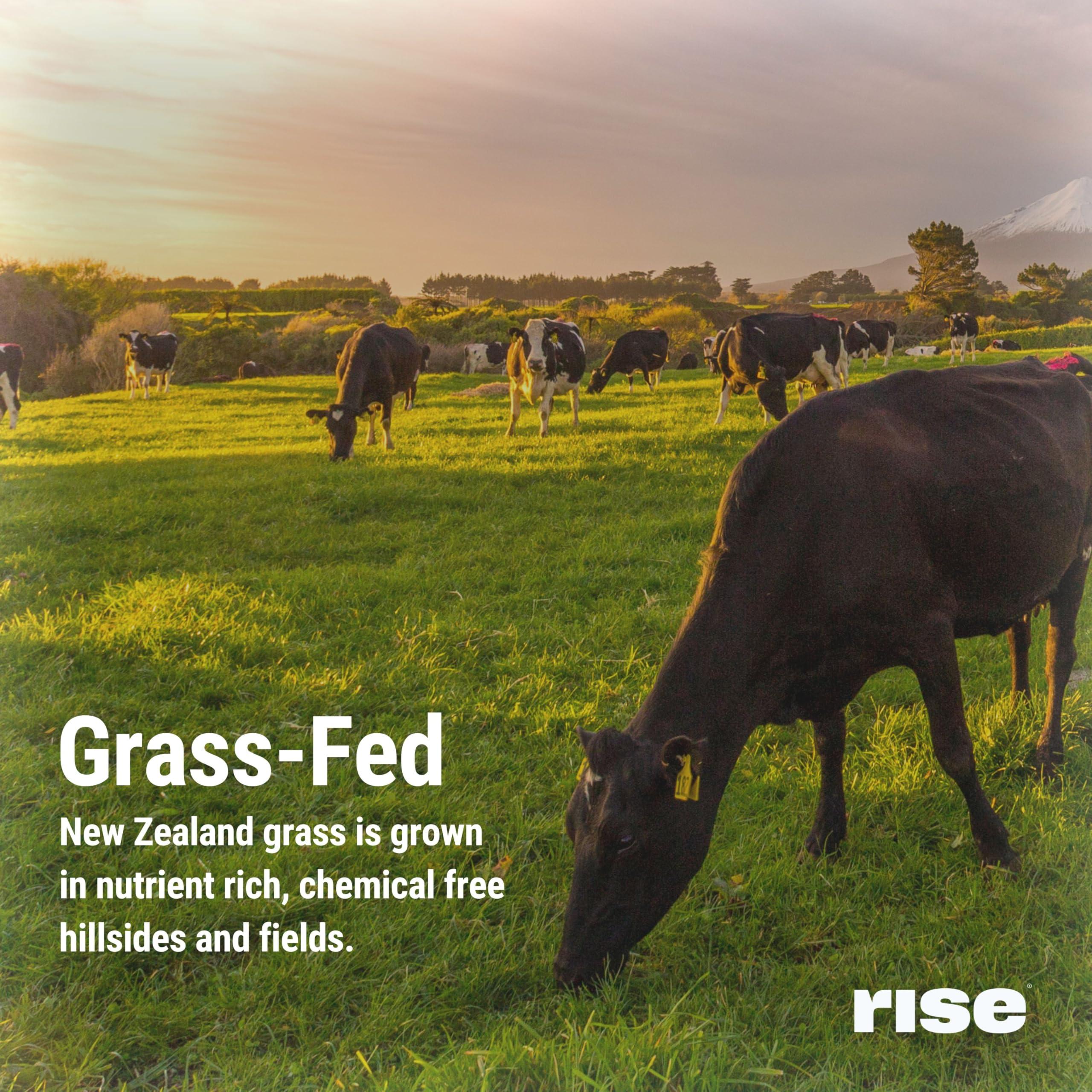 Rise Rise Grass-Fed Whey Protein Powder - Vanilla | 25g Protein No Artificial Flavors, Colors, or Preservatives - Sugar Free, Gluten-Free, Soy Free (2.3 lbs)