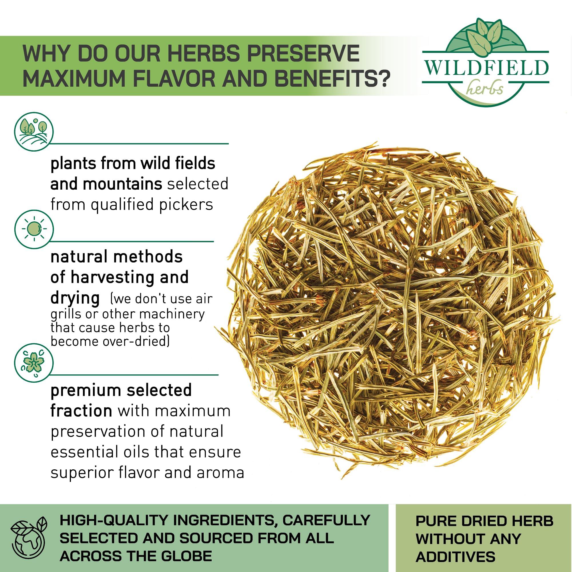 WILDFIELD HERBS 1.8 oz. Horsetail Herb Horsetail Tea cola de caballo hierba Horse Tail (Equisetum Arvense) - 50g Field Horsetail Leaf Herb Tea