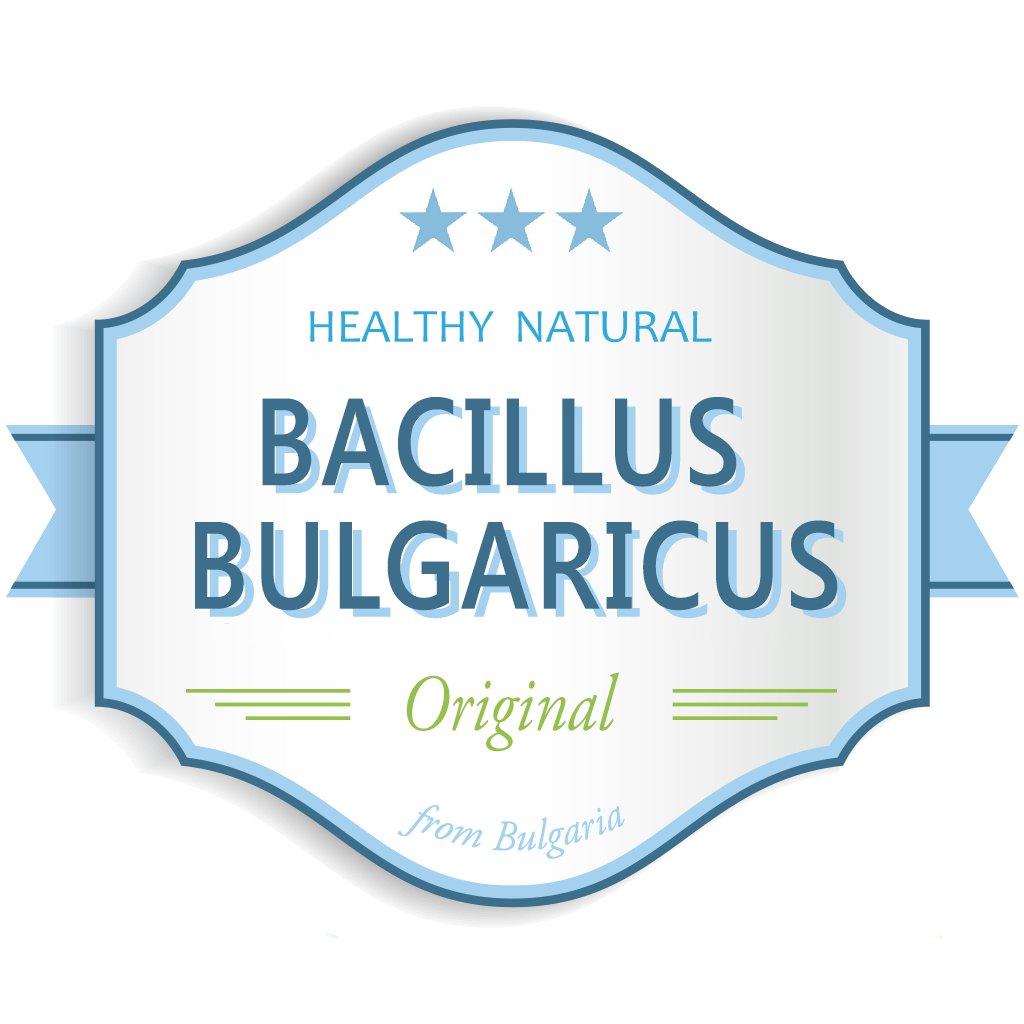 Bacillus Bulgaricus Bulgarian Yogurt Starter (Makes 14 Gal / 50 L)