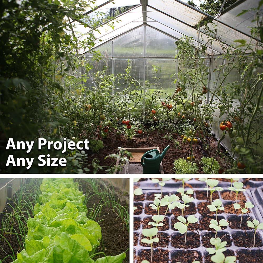 Handy Pantry Organic Kamut Seed- 1 Lb- Kamut Grain Seeds- for Growing Kamut Grass, Flour, Bread, Baking, Cooking, Food Storage, Sprouting