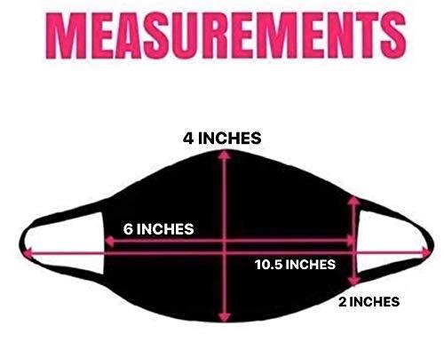 Generic Made in USA Face Masks | Washable and Reusable | 2 Ply 100% Cotton | Regular Size (Dusty Pink (Child))