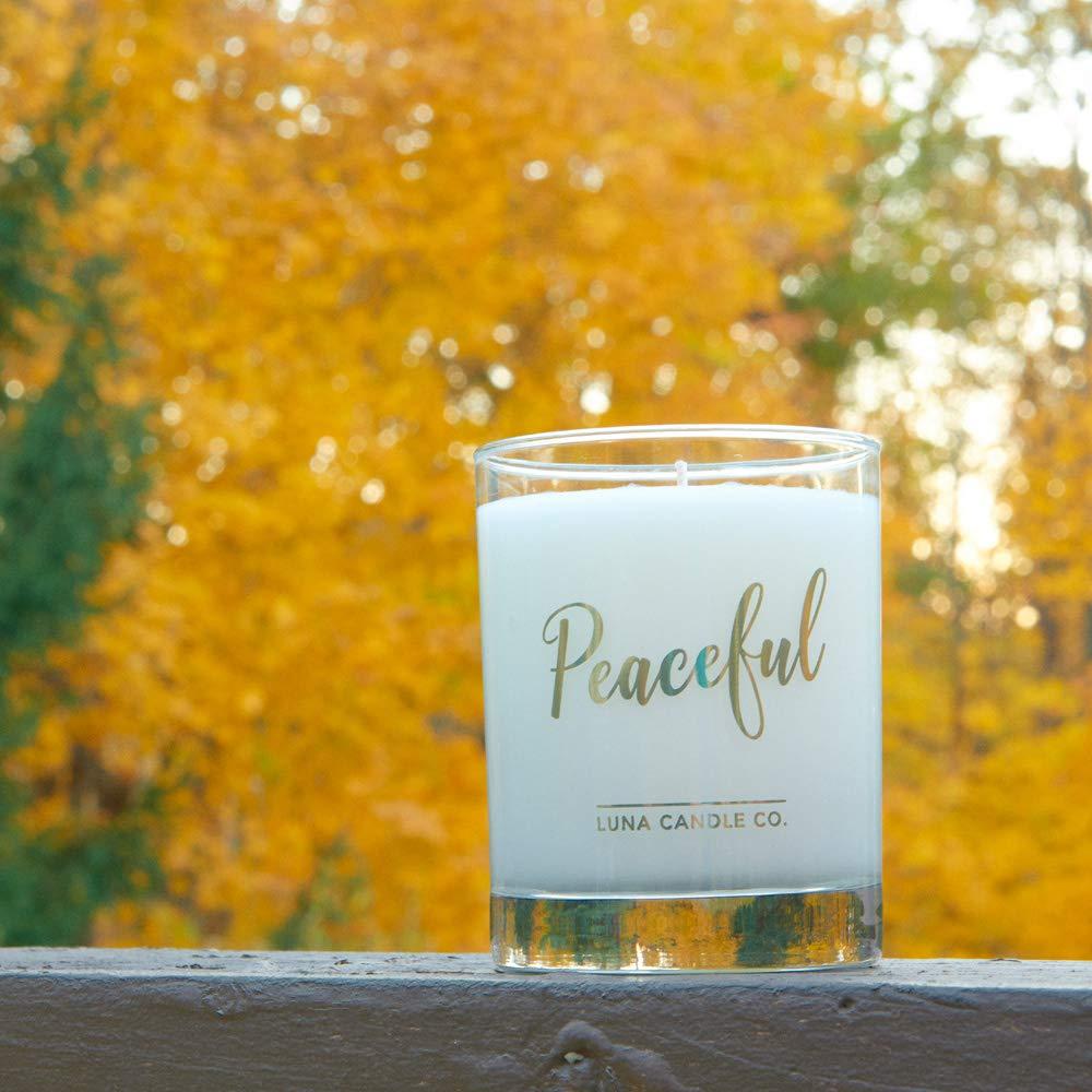 HealthyNees HealthyNees Open Toe Ankle 20-30 mmHg Compression Wide Big Foot Swelling Sleeve (Beige, 4XL)