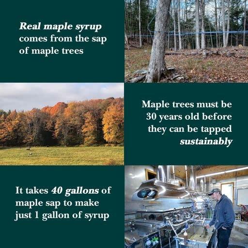 Vermont Maple Syrup Vermont Maple Syrup - 32 oz Grade A, Dark Robust Organic Maple Syrup - 100% Pure and Authentic Maple Syrup for Pancakes, Waffles and More - Nut free, Gluten Free, Vegan, Paleo