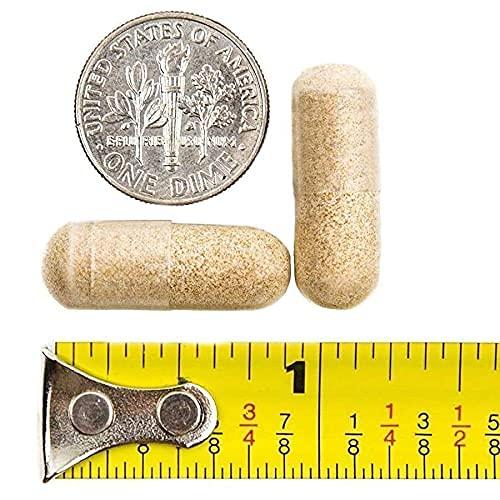 BariatricPal BariatricPal 30-Day Bariatric Vitamin Bundle (Multivitamin ONE 1 per Day! Capsule with 45mg Iron and Calcium Citrate Soft Chews 500mg with Probiotics - Pia Colada)