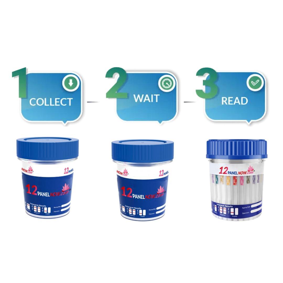 12panelnow.com 6 Panel Urine Drug Test, with Temperature Strip, Tests for AMP, BUP, BZO, COC, OPI300 (MOP) & OXY, Urine Drug Test Kit, Up to 6 Different Drugs Detected, Multi-Drug Test (5)