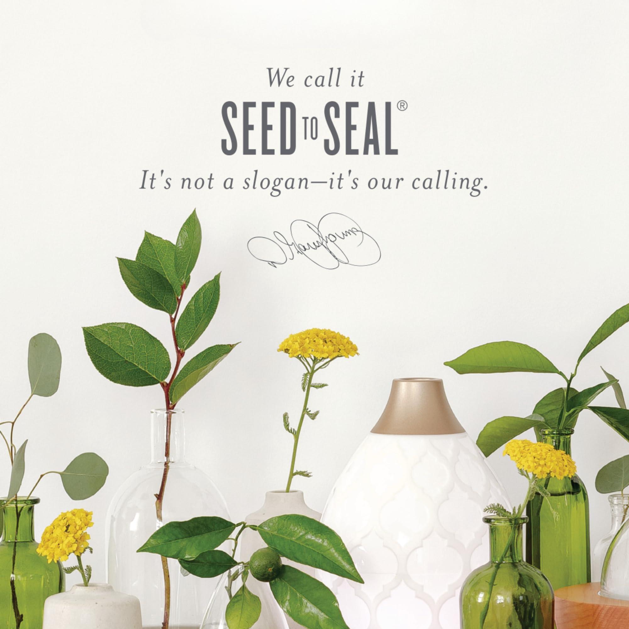 Young Living Frankincense Essential Oil 15ml by Young Living Essential Oils