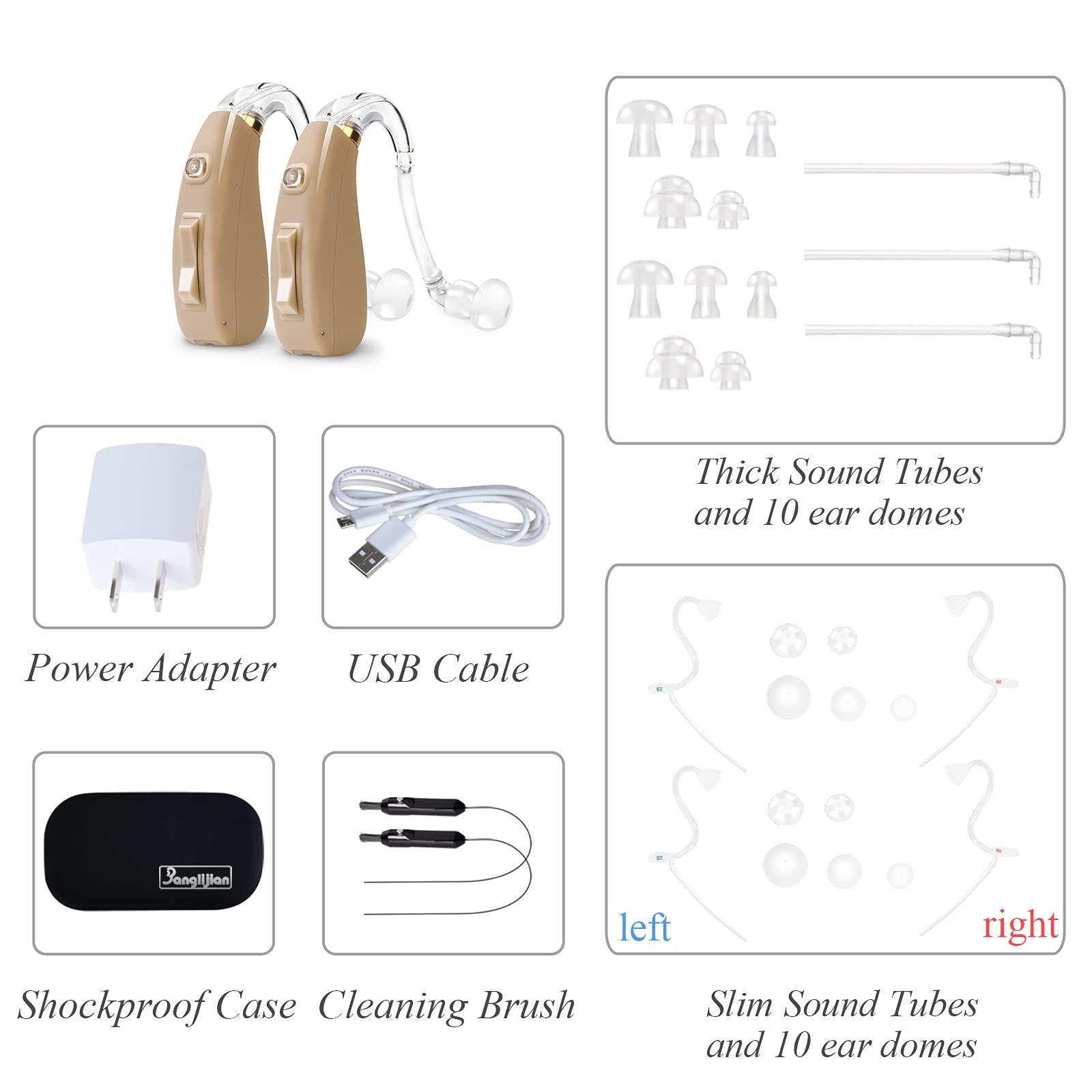 Banglijian Banglijian Hearing Aid Rechargeable Ziv-201 Digital Noise Reduction and Feedback Cancellation Small Size (Two Units)