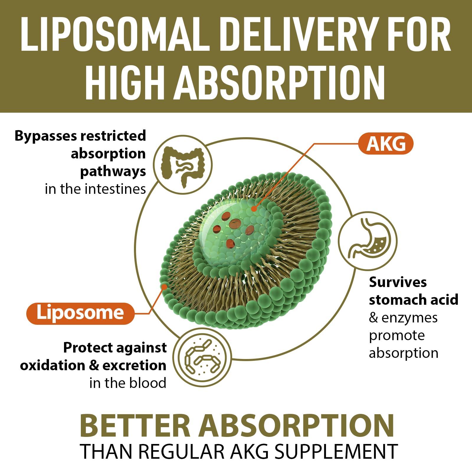 AJAXERRUE Liposomal Calcium AKG Supplement 1500 MG (Alpha-Ketoglutaric Acid), High Absorption, More Effective Than AAKG, Ca AKG for Longevity, Age Defense, Cellular Energy, Metabolic Function, 60 Softgels