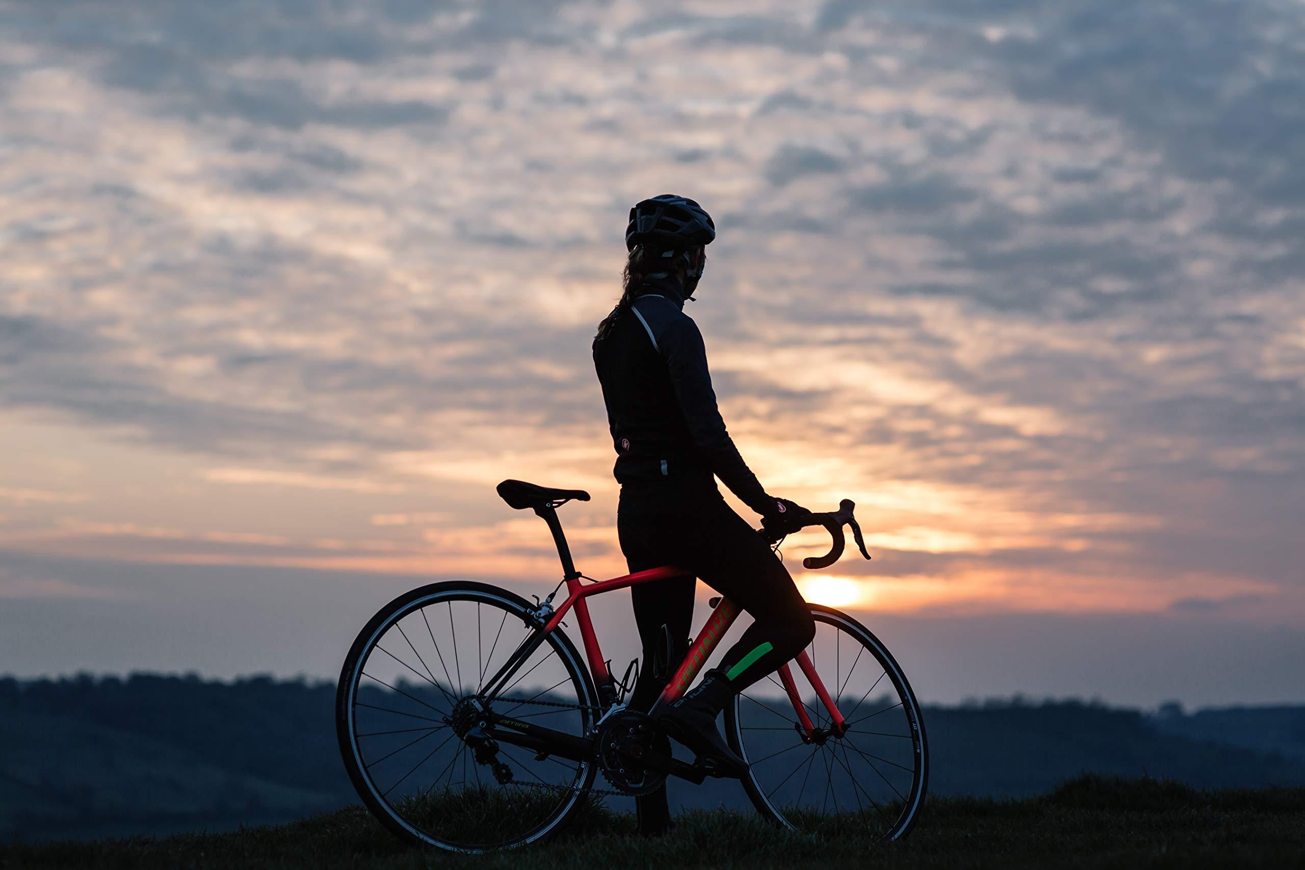 BEET IT BEET IT Sport Pro-Elite Shot, 15 Shots, 400mg Dietary Beet Nitrates, Non-GMO Certified, Nitric Oxide Booster, High Nitrate Beet Juice for Stamina and Recovery