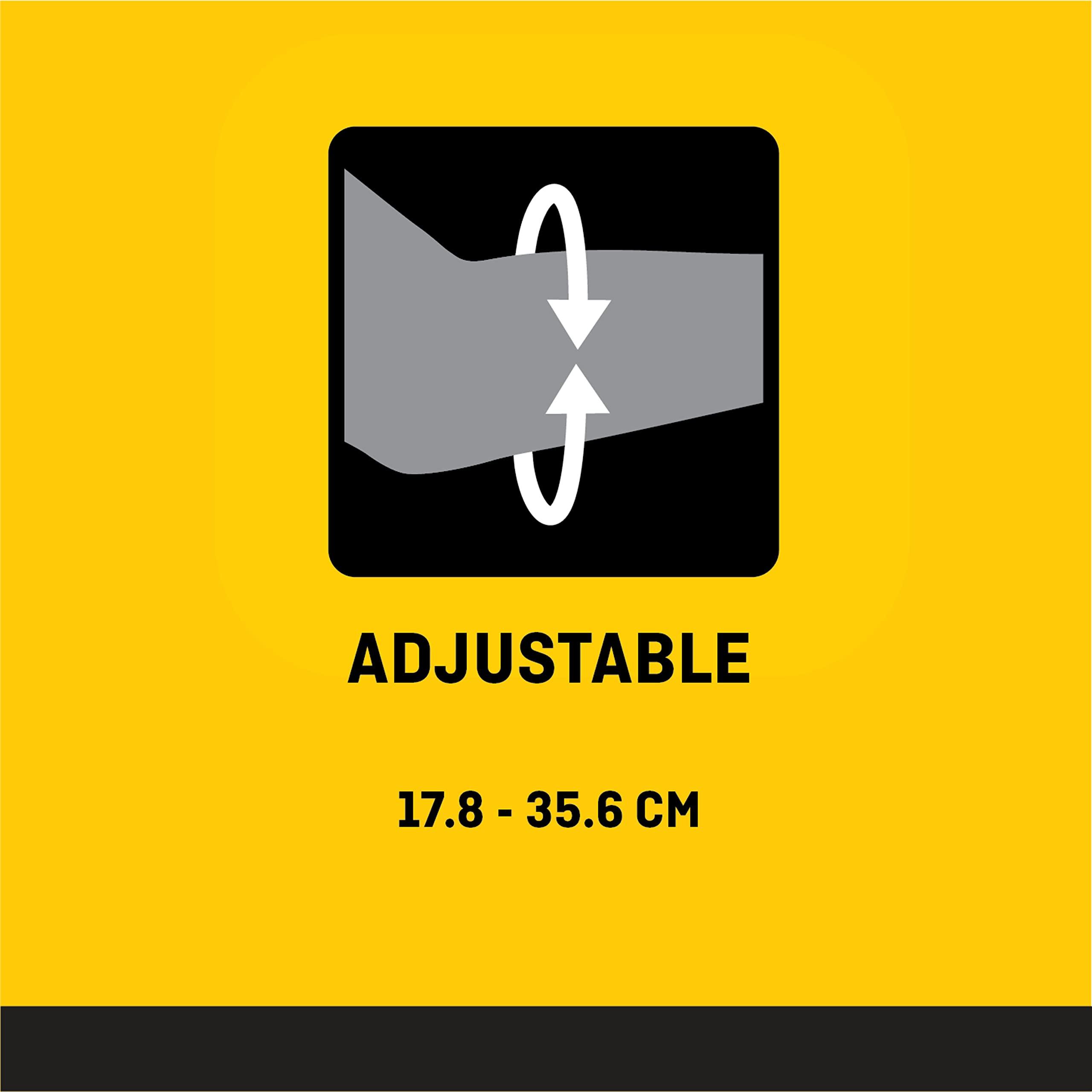 Spices For Less Celery Seeds, Ground - 5 lbs Bulk