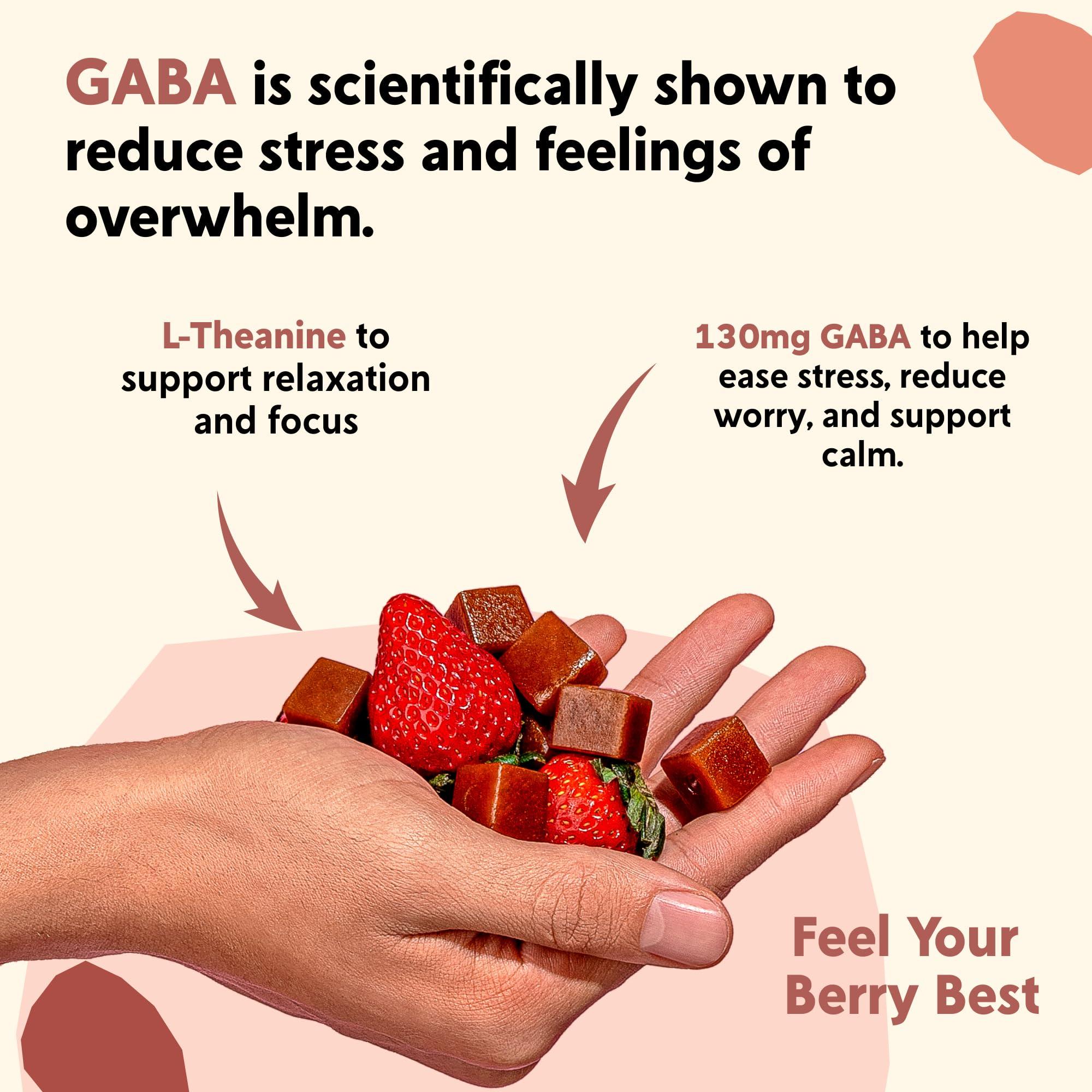 PYM Health PYM Berry Mood Chews Support for Stress, Worry & Overwhelm, 60 Count - 130mg GABA, 90mg L-Theanine - Vegan, Non-GMO, Gluten-Free, No Added Sugar - All-Natural Mood Balance Supplement Made in USA!