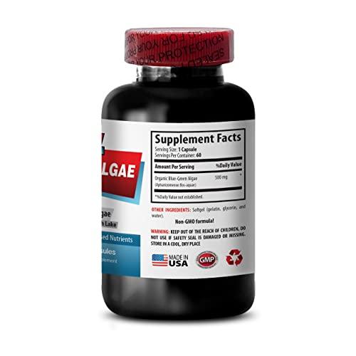 Sport Supplement Pure Herbal Supplement - Klamath Blue Green Algae 500mg - Increase Energy Levels, Improve Digestion and Enhance Immune System, spirulina, chlorella, Klamath Blue Green Algae Powder - 1B 60 Capsules