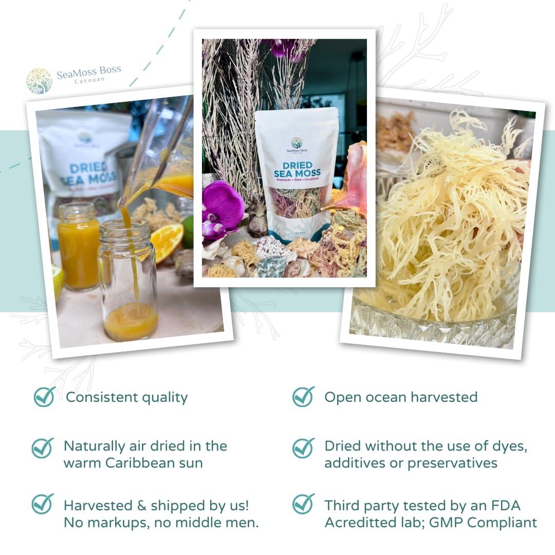 SeaMoss Boss Canouan SeaMoss Boss Canouan | Dried green sea moss | ocean harvested and sun-dried in the remote Grenadine Islands | Easy to use | Makes 300oz sea moss gel
