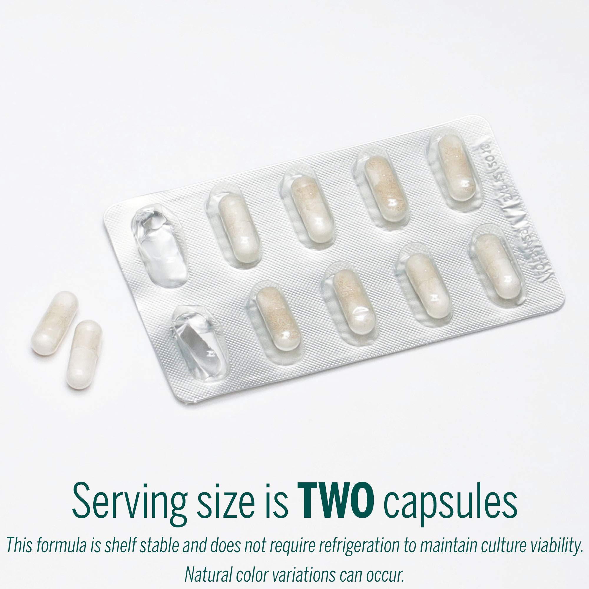 Genestra Brands Genestra Brands - HMF Travel - Shelf Stable Probiotics to Support Gastrointestinal Health When Travelling - 30 Capsules