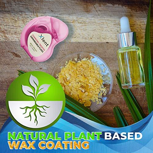 The Republic of Tea The Republic of Tea - Pumpkin Spice Black Tea, 50 Tea Bags