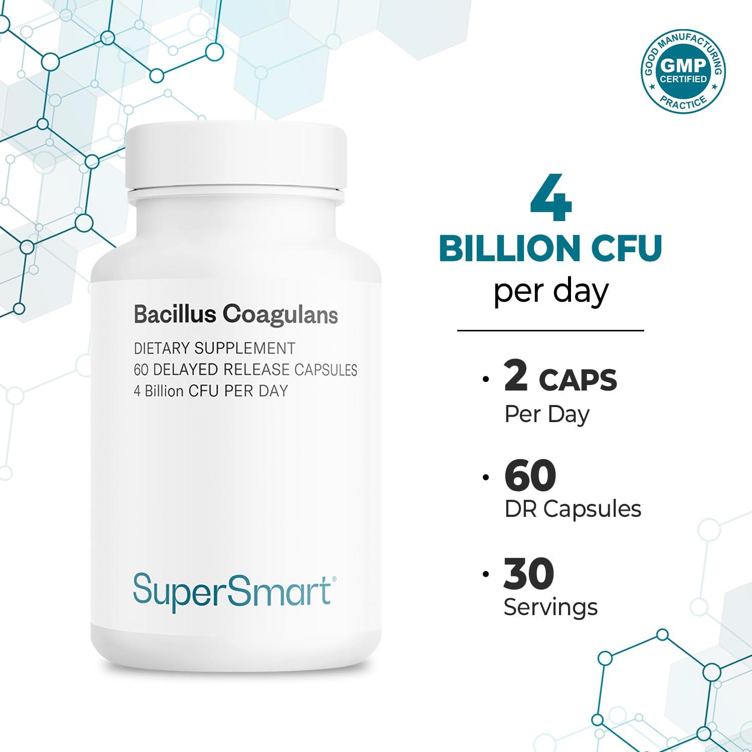 Supersmart Supersmart - Bacillus Coagulans Probiotic 4 Billion CFU per Day (High Absorption) - Lactobacillus Sporogenes Supplement | Non-GMO & Gluten Free - 60 Delayed Released Capsules