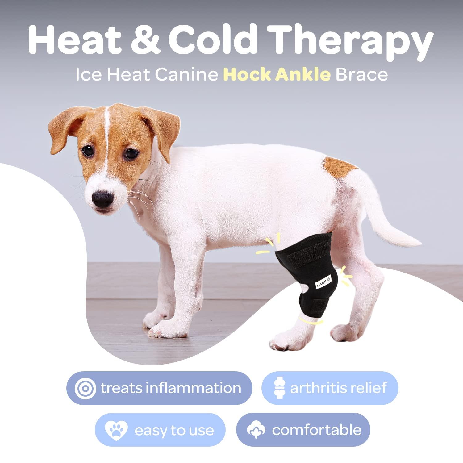 Labra Labra Dog Canine K9 Ice Heat Cold Hot Pack Therapy Compression Leg Wrap - Pain Relief Arthritis Brace for Sprained, Injured Joints, Vet Approved - Extra Large