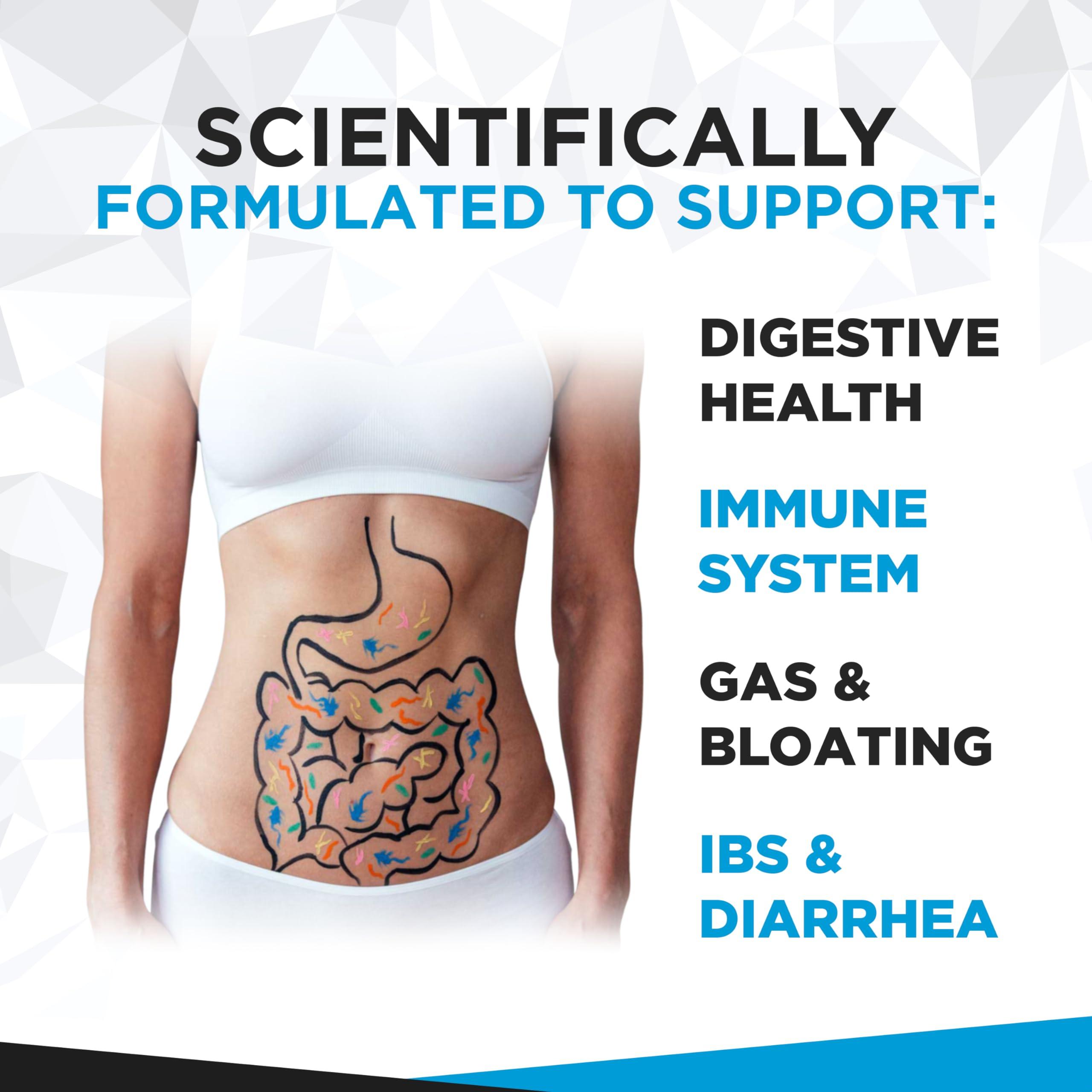 Natural Foundation Supplements Probiotics for Digestive Health 60 Capsules | 10 Billion CFU Scientifically Formulated Multi Strain Probiotic Blend | Organic Supplements with Prebiotics for Men & Women (10 Billion Probiotics)