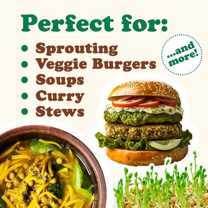 Food to Live Food to Live Organic Whole Dried Green Peas, 5 Pounds Non-GMO, Green Vatana, Sproutable, Vegan, Kosher, Bulk. Pre-Soak Needed. Rich in Protein, Fiber. Great for Green Curry, Stews, Salads, Pea Soup