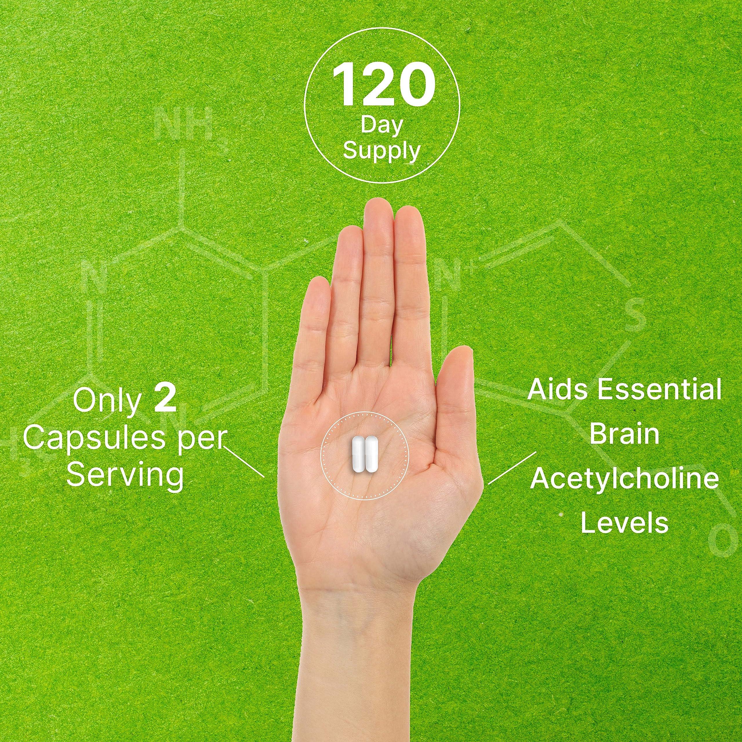 DEAL SUPPLEMENT DEAL SUPPLEMENT Alpha GPC 600mg Per Serving, 240 Capsules Bioavailable Choline Replenishment Nootropic Brain Health Supplements for Memory and Focus Non-GMO, Gluten Free