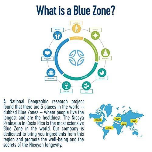 BLUE ZONES Blue Zones Nicoya - Morning Brew, Maya Nut with Coffee and Spices- 100% Natural Ground Coffee Alternative - High micronutrients - Low Caffeine, Gluten & Sugar-Free (12 oz/ 340g)