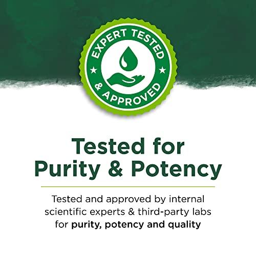 Swanson Swanson Free Form L-Lysine - Natural Supplement Promoting Stress Support & Nervous System Health - May Promote Calm Mood & Relaxation - (300 Capsules, 500mg Each) 2 Pack