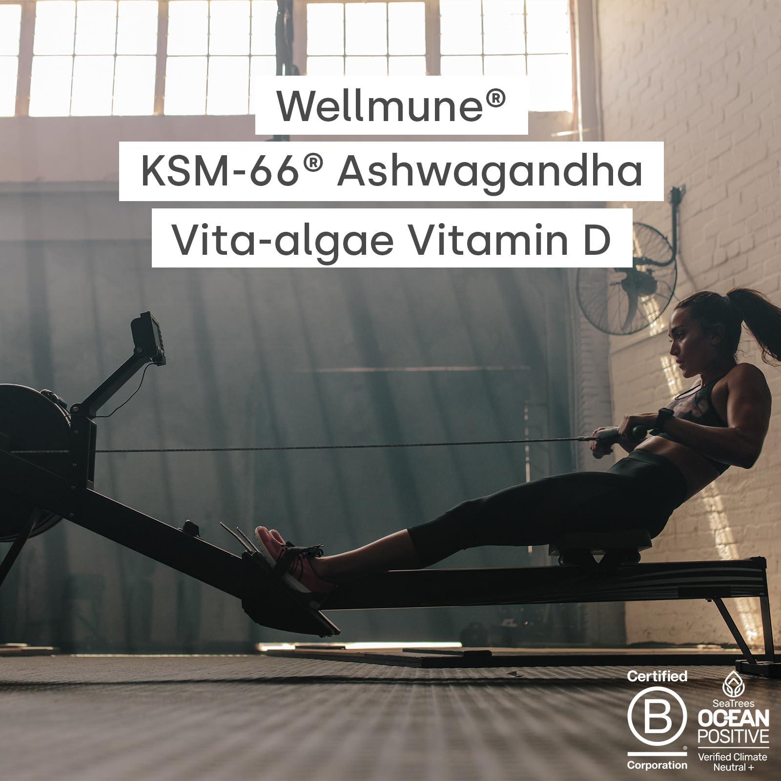 Form Form Peakblend - Vegan Meal Replacement Shake | High protein & fibre | 26 vitamins & minerals | meal replacement powder with no artificial sweeteners |13 servings - 1.3kg (Chocolate Peanut)