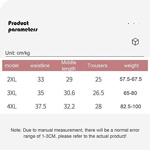 DACUN Daily Wearing Safety Certification Women Menstrual Period Briefs Leakproof Protective Underwear Heavy Flow Panties Pack of 4 (Color : Multicolor, Size : 4XL-4XLarge)