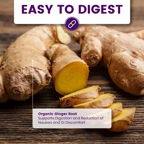 BariTransform BariTransform Bariatric Multivitamin with Iron Capsule 30 Ct Bariatric Vitamins Multivitamin with Organic Ginger Root for Digestion Support Once-A-Day Vitamins