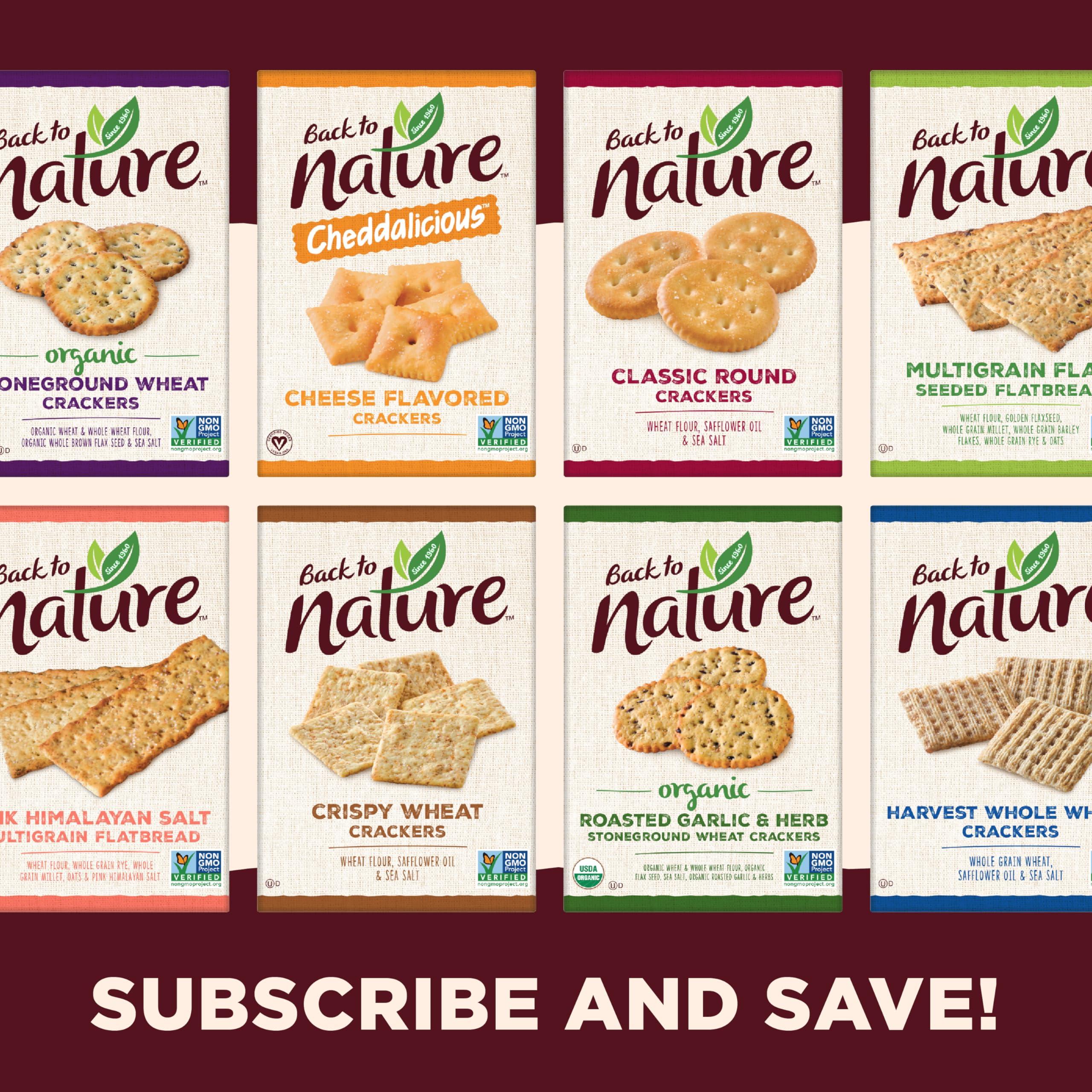 Back to Nature Back to Nature Gluten Free Crackers, Multi-Seed Rice Thins - Dairy Free, Non-GMO, Made with Whole Grain Brown Rice Flour, Delicious & Quality Snacks, 4 Ounce