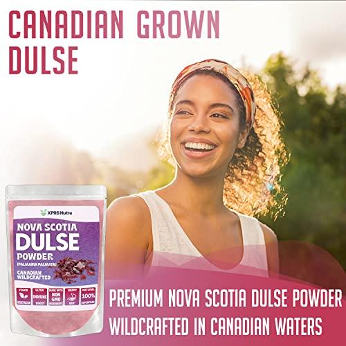 XPRS Nutra XPRS Nutra Dulse Powder (Palmaria Palmata) - Canadian Wildcrafted Nova Scotia Dulse Powder for Thyroid and Bones - Vegan Friendly Atlantic Dulse Powder (4 Ounce)