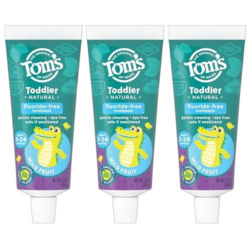 Tom's of Maine Tom\'s of Maine Fluoride-Free Toddler Training Toothpaste, Mild Fruit, 1.75 oz. 3-Pack (Packaging May Vary)