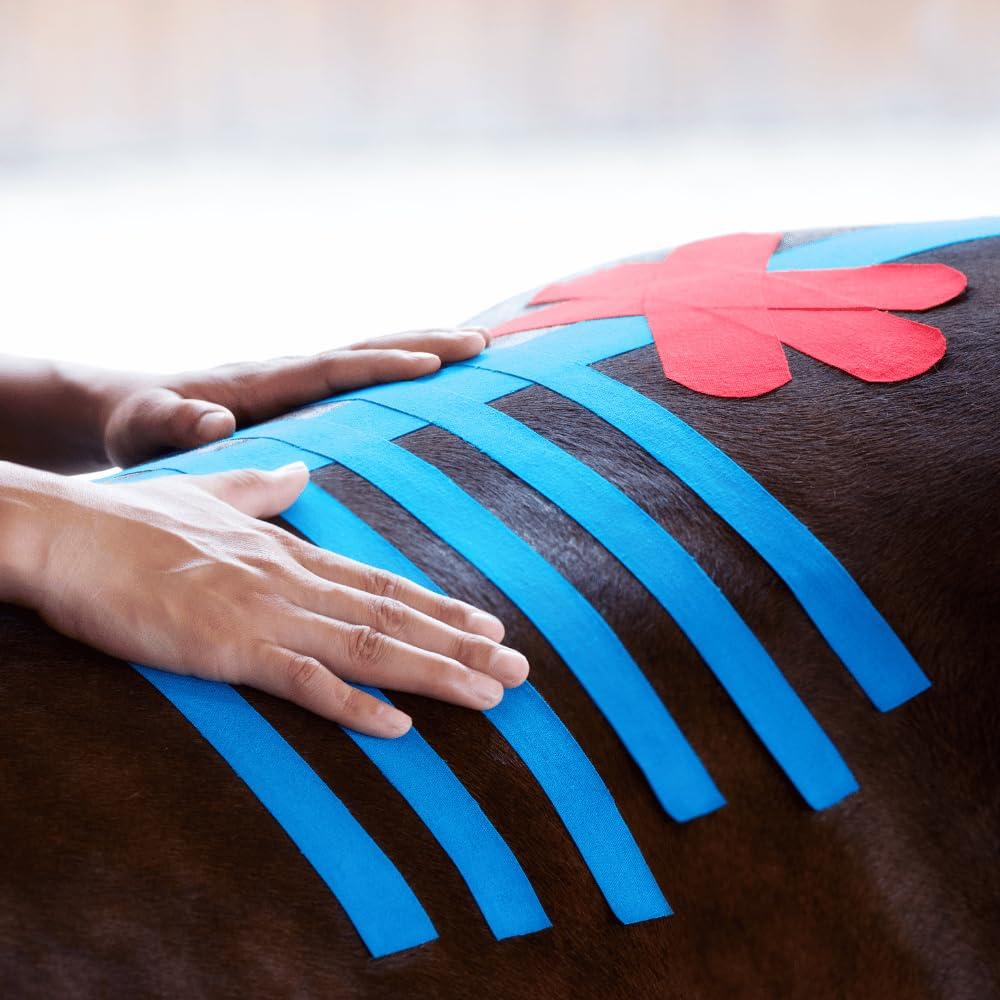VETKIN VetkinTape Veterinary Kinesiology Tape Blue | kinesiology Tape For Horses & Dogs | Equine & Canine Kinesiotape | Latex Free and TV Quality Mark Certified Ktape | 4 inch | Pack of 1 Roll