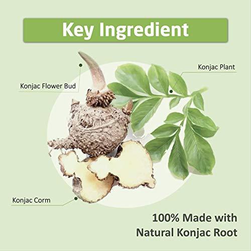 Caloless Caloless Konjac Shirataki Noodles 6-Pack Low Calorie Healthy Food (Chicken/Tom Yum/Chilli & Vinegar)-Gluten Free, Keto Snacks,Low Carbs Glucomannan Diabetic Noodle Pasta Flavor Variety Pack