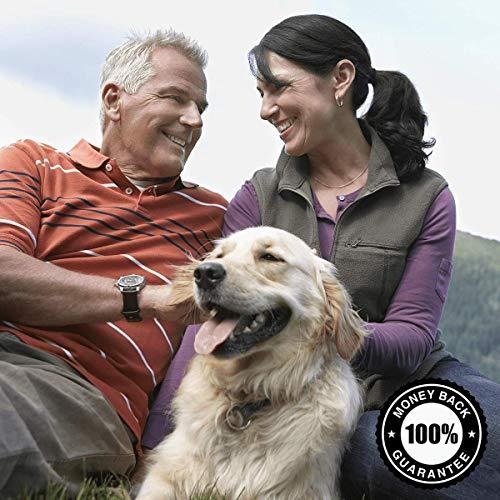 Swanson Swanson Vitacholine Choline Bitartrate 300 mg 60 Veg Caps 3 Pack