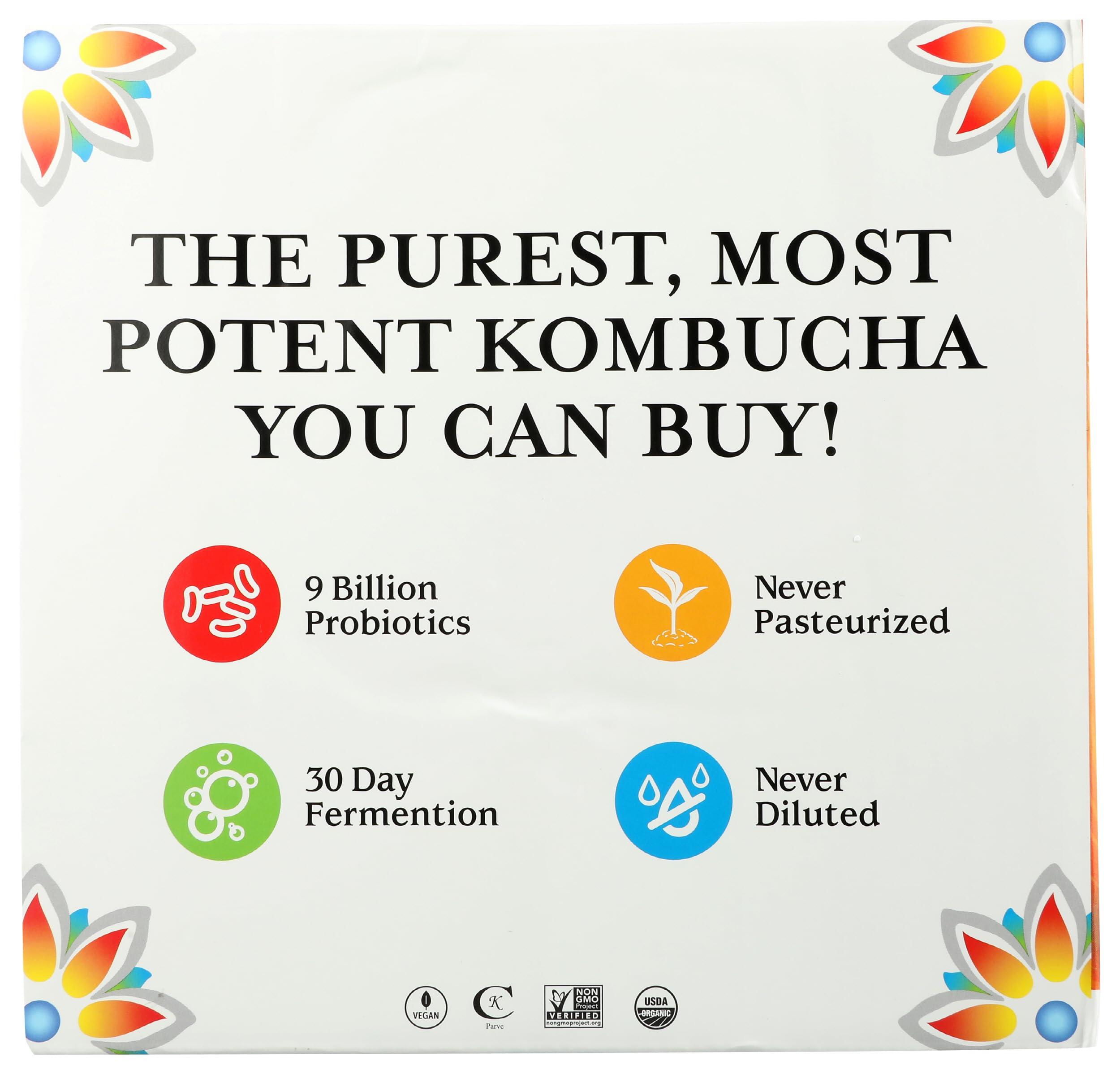 GTs Living Foods GTS LIVING FOODS Organic Synergy Kombucha Variety 6 Pack, 16 FZ