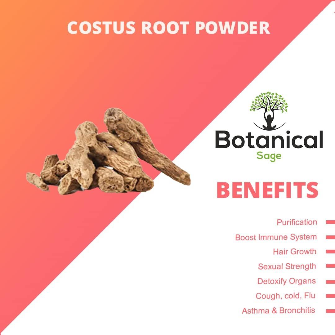 Generic SUP Costus Root Powder 100g | Qust Al Hind | Indian Costus Root