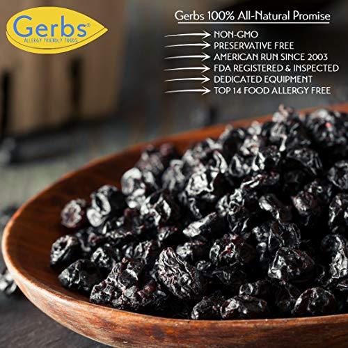 GERBS Gerbs Dried Cape Cod Blueberries 10 LBS Bulk Case