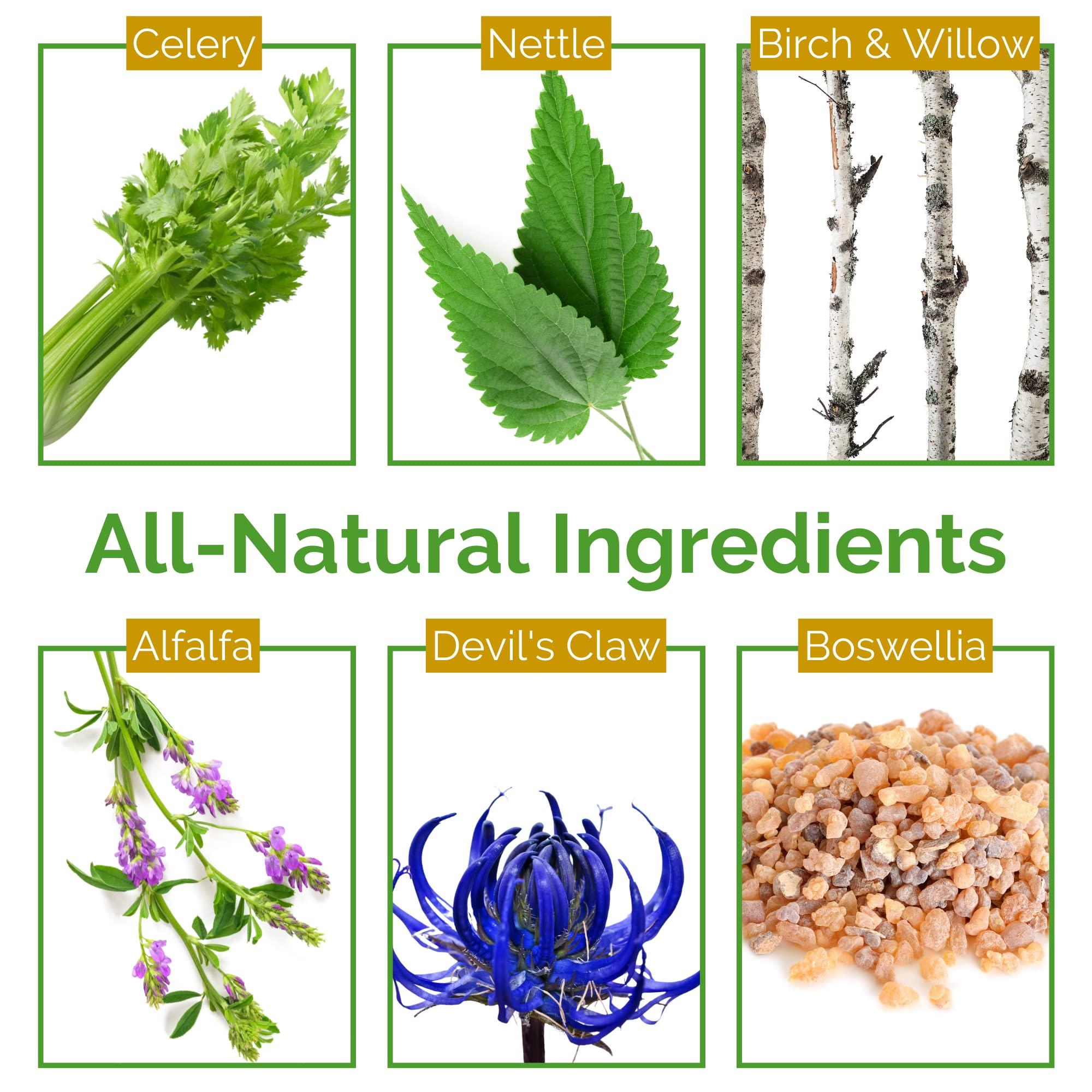 Life Tones Lifetones Uric Acid Support - Joint Health for Men & Women - Liquid Uric Acid Cleanse for High Absorption - Herbal Cleanse Detox for Joint Comfort - Boost Flexibility - 3.38 fl oz