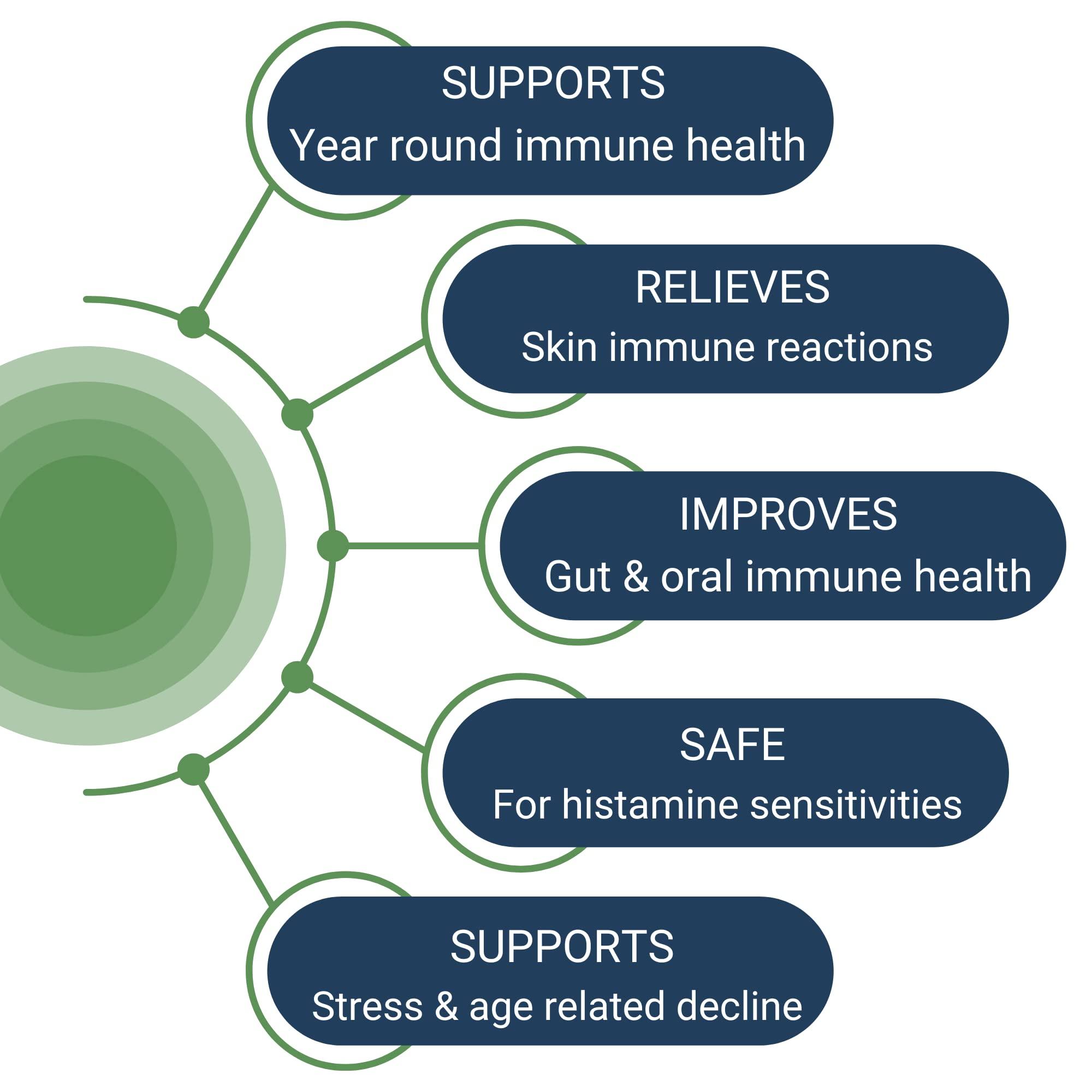 Healthy Gut, LLC Healthy Gut HoloImmune | Paraprobiotic with Immuse Immune Support | 30 Servings