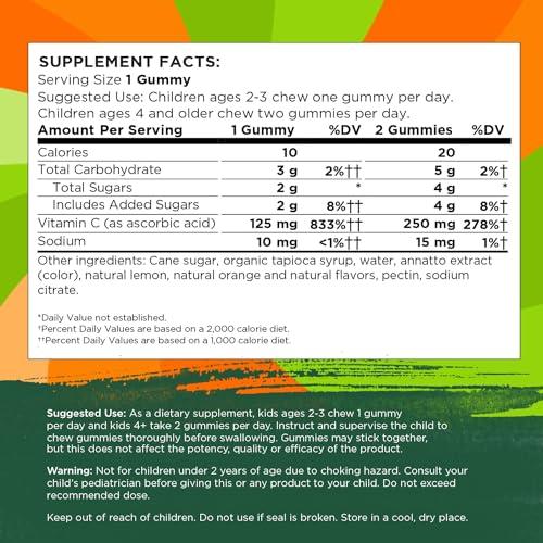 Swanson Swanson Kids Vitamin C Gummies - 60 Orange-Flavored Gummies - Immune Support for Children