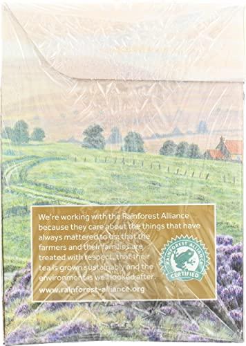 Taylors of Harrogate Taylors Of Harrogate, Tea Yorkshire Gold, 80 Count