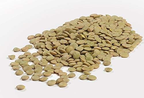Camellia Brand Camellia Brand Dried Lentils, 1 Pound (Pack of 12)