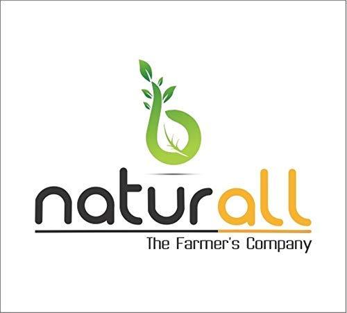 Admart Admart Coconut Milk Powder | Keto Friendly | Dairy Free - 100 GM by B Naturall