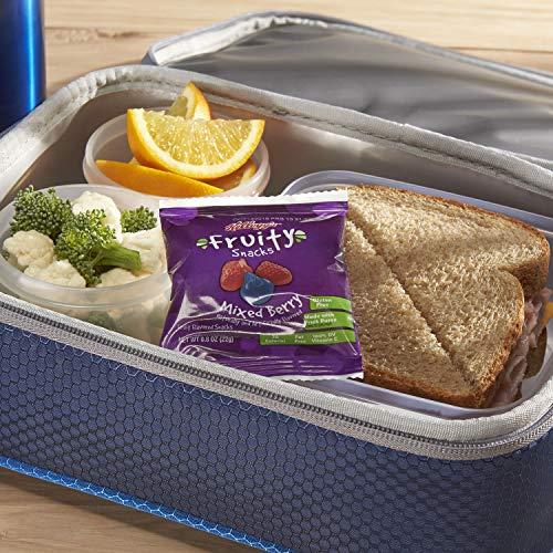 Fruity Snacks Fruity Snacks, Mixed Berry, Gluten Free, Fat Free, 32 Oz (Pack of 40)