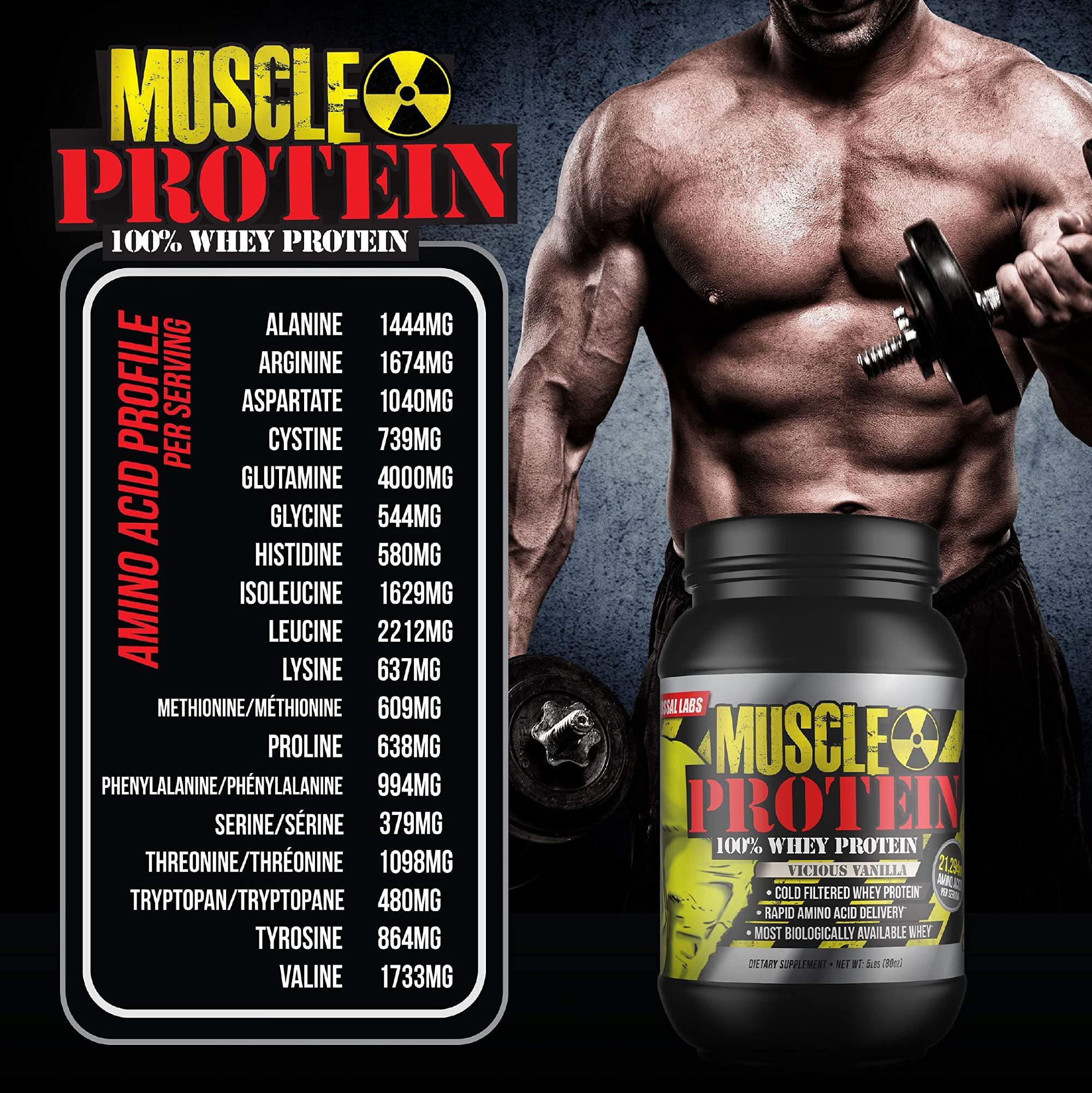 COLOSSAL LABS COLOSSAL LABS Muscle Whey Protein [5 lbs/Pack of 1]Chocolate Flavored Protein Powder, 25,000mg Amino Acids/Serving, Cold Filtered(Packaging May Vary)